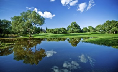 albo iscrizione ambientale